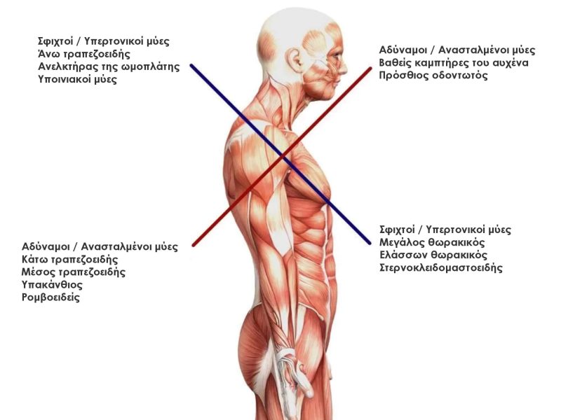 anw-staurwto-syndromo2 anw-staurwto-syndromo2