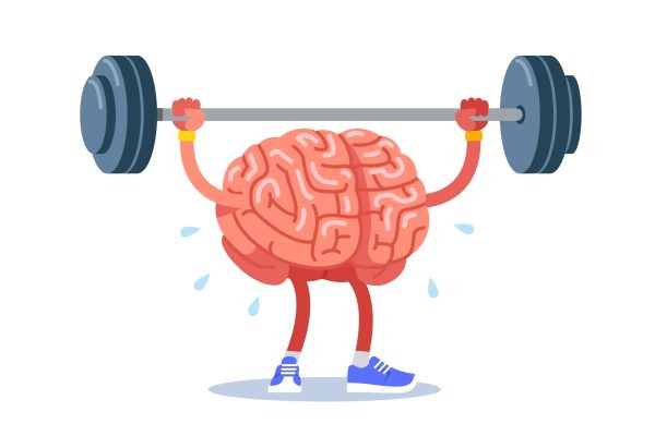 neuroplastikothta8 neuroplastikothta8