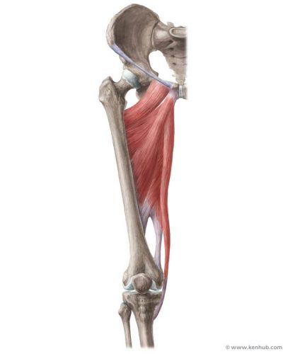 syndromo-koiliakwn-kai-prosagwgwn2