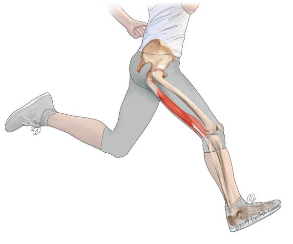 thlash-opisthiwn-mhriaiwn5